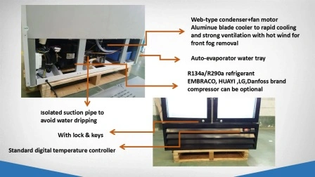 R290 Doppelte Glastür, aufrecht gekühlte Vitrine, Getränke- und Getränkekühler, Glastür-Merchandiser